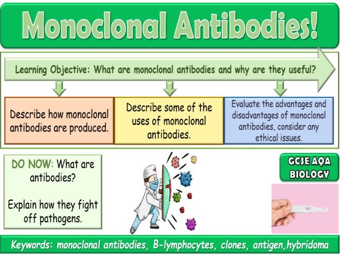Monoclonal Antibodies AQA GCSE (9-1) Biology